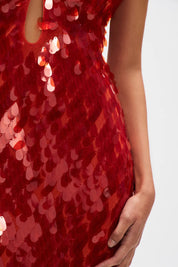 Ruby | Reflection Maxi Dress