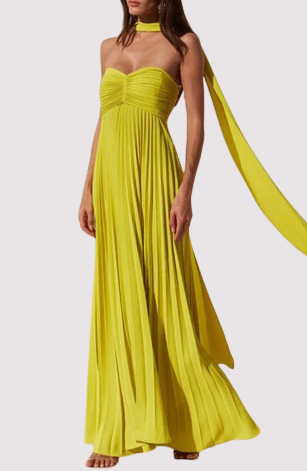Zaira | Pleated Maxi Dress